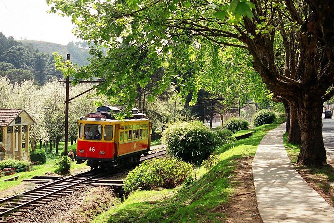 The Brazilian Switzerland - Day Trip on Campos do Jordão from São Paulo - Why Campos do Jordão makes a good São Paulo day trip