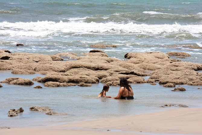 The colorful sands of Morro Branco beach - Full Day Tour - Who will enjoy this Fortaleza day trip?