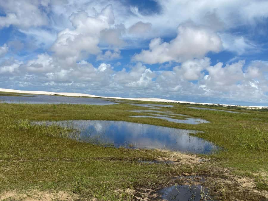 The hidden beauty of the Lençóis: Santo Amaro - Ponta Verde - What Celiane’s attention may mean for your day