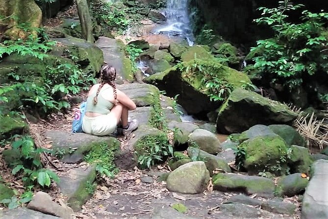 Tijuca Forest Caves and Falls Tour in Rio de Janeiro - The 7:00 am pickup and air-conditioned minivan
