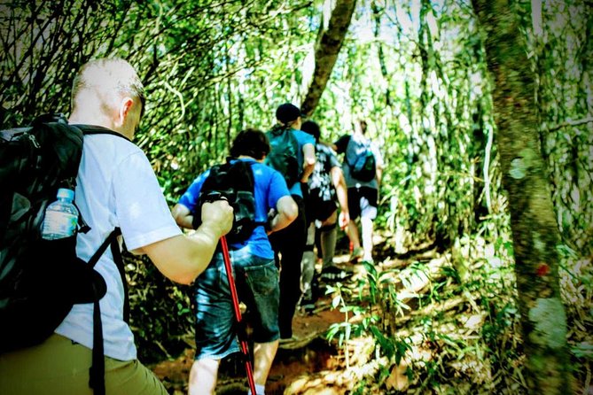 Tijuca Forest Challenge Full-Day Hike (Small-Group or Private) - The drive toward Tijuca Forest and Canoas Summit