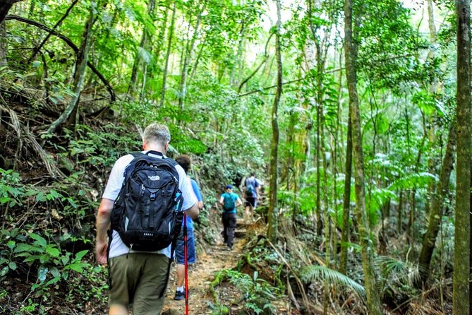 Tijuca Forest Half-Day Hike (Small Group or Private) - Pedra Bonita and the great Rio panorama