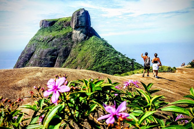 Tijuca Forest Half-Day Hike (Small Group or Private) - Learning the story of Floresta da Tijuca
