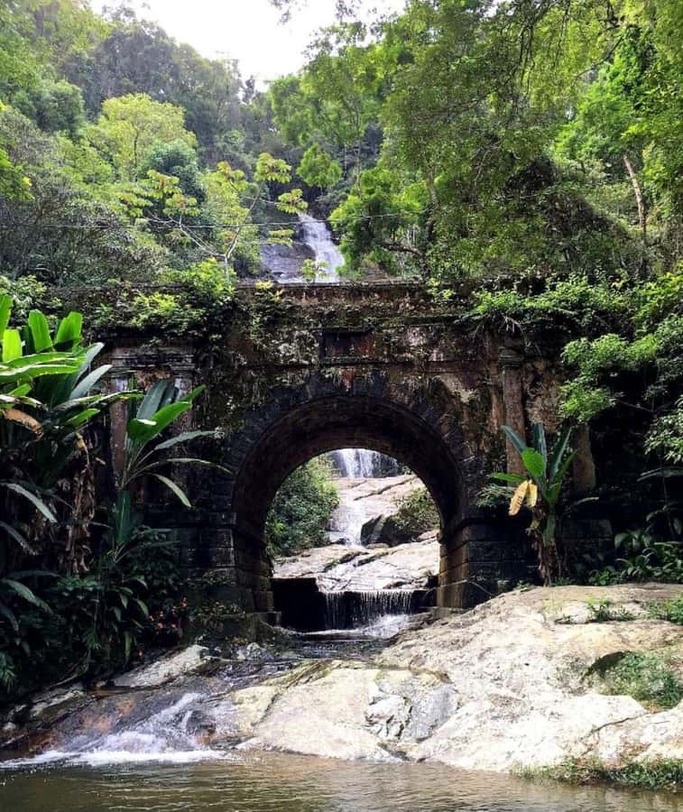 Tijuca Forest´s hike: caves, waterfalls and great views - Views that reward the climb