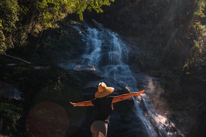 Tijuca Forest Trail - specialized guide and photos - Key points to know before you go