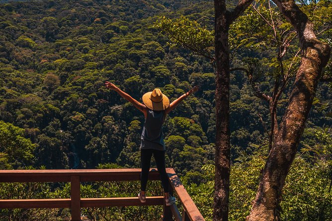 Tijuca Forest Trail - specialized guide and photos - The waterfall bath is a simple, memorable finish