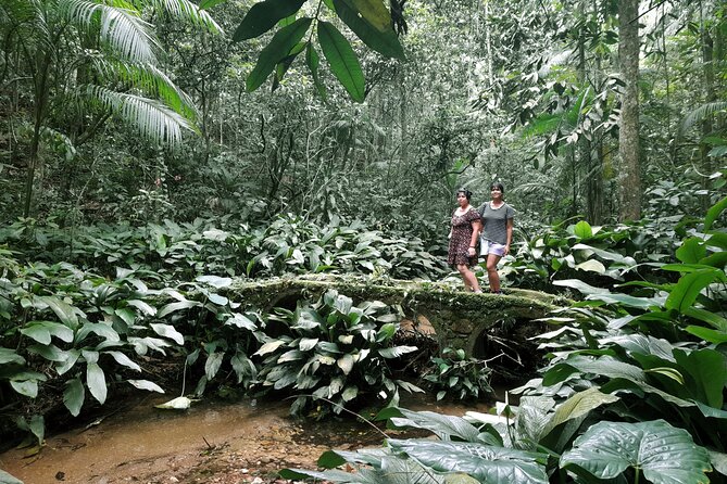 Tijuca National Park and all its wonders - Smaller waterfalls and a chance to swim