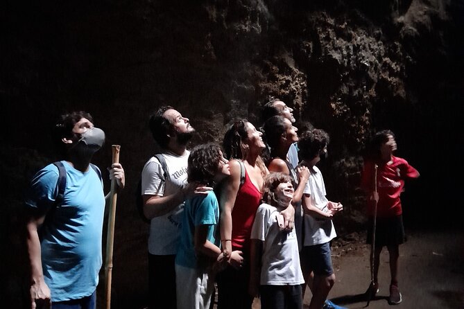 Tijuca National Park and all its wonders - Is $68.67 a fair price?