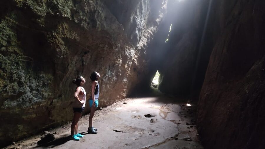 Tijuca National Park and all its wonders! - How Much Value Does the $51 Price Offer?