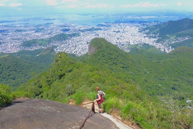 Tijuca Peak Hiking - The Highest Summit in Tijuca National Park - Why Tijuca National Park Makes a Good Rio Hike