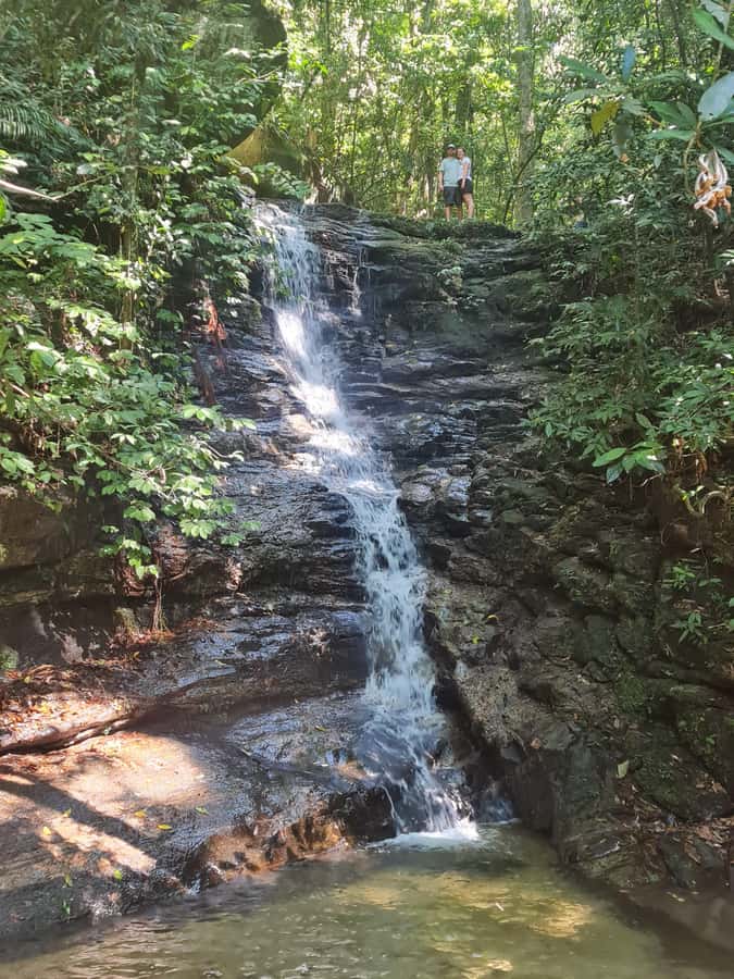 Tijuca Rain Forest - Adventure through Waterfalls & Caves - Baronesa Waterfall and the final cool-down