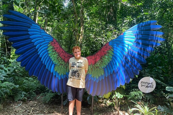 Tour 1 day: Brazilian Falls and Bird Park - Key Points to Know Before You Book