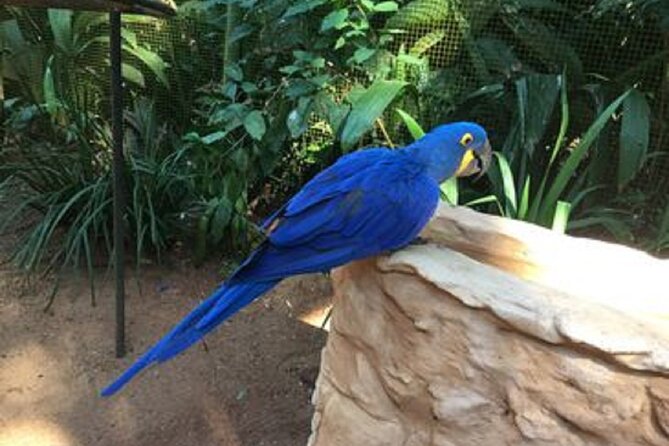 Tour 2 days: Brazilian Falls and Argentina & Bird Park - Private transport and the value of a $216.85 tour