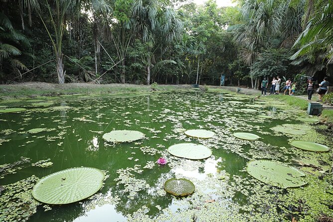 Tour at the MUSA – Museum of the Amazon in Manaus - What MUSA is and why it matters