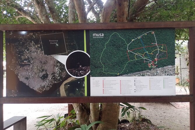 Tour at the MUSA – Museum of the Amazon in Manaus - Enclosed displays with snakes and spiders