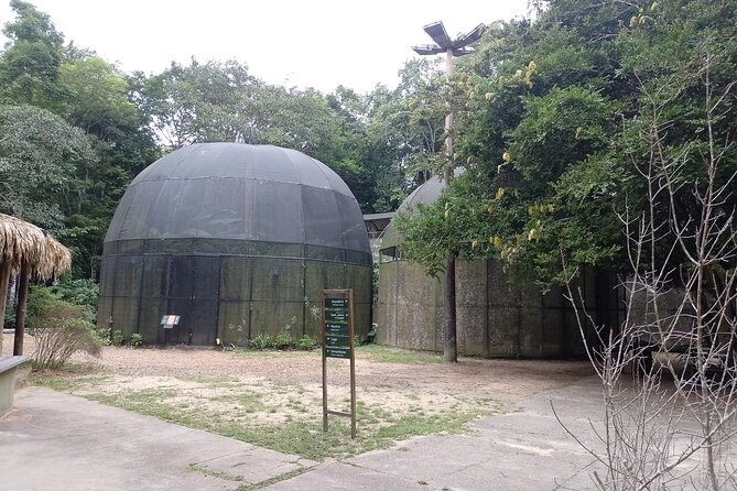 Tour at the MUSA – Museum of the Amazon in Manaus - Who will enjoy this forest visit most?