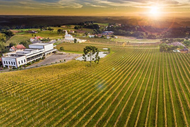 Tour Gran Reserva - Valley of the Vineyards - The key details before you book