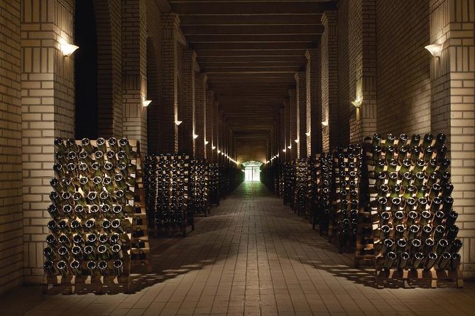 Tour Gran Reserva - Valley of the Vineyards - What may frustrate you