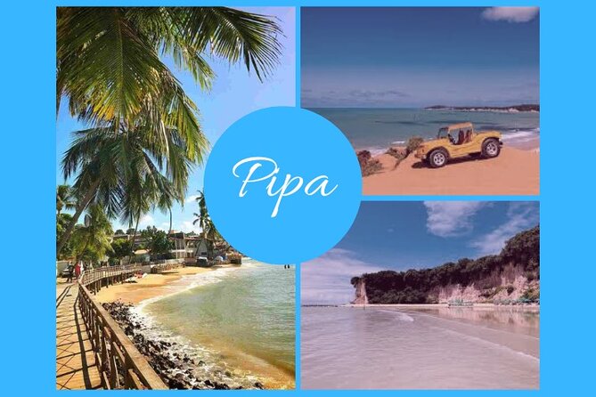 Tour Guide or Private Driver - Hotel transfers, restaurant rides, and simple convenience