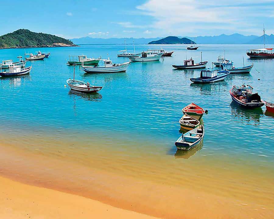 Tour in Búzios (Leaving from Búzios) - The Value of the Guide and Multilingual Support