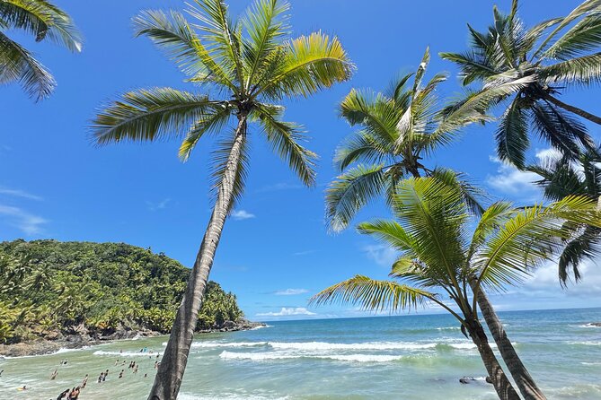 Tour of the 4 beaches and waterfalls in Itacaré - Guides, safety, and the private format