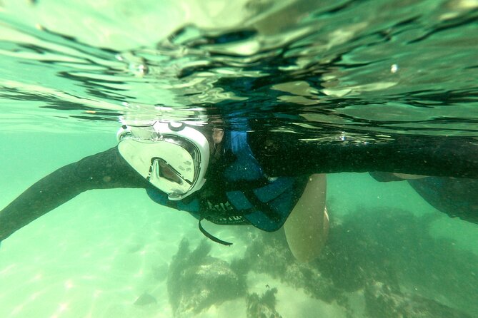 Tour to Bombinhas with Snorkeling Experiência - Sepultura Beach and the first look underwater