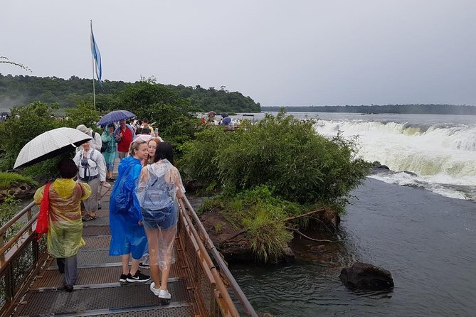 Tour to Iguassu Falls Argentinean Side - Wildlife, plants, and the value of a local guide