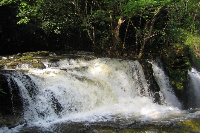 Tour to Presidente Figueiredo: Amazon Waterfalls - Key points to know before you book