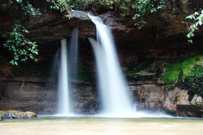 Tour to Presidente Figueiredo: Amazon Waterfalls - Should you book the Presidente Figueiredo waterfalls tour?