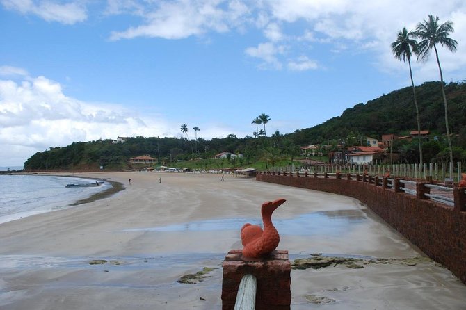 Tour to the Frades Islands and Itaparica, from Salvador - Ba - Guide Service and Language Expectations