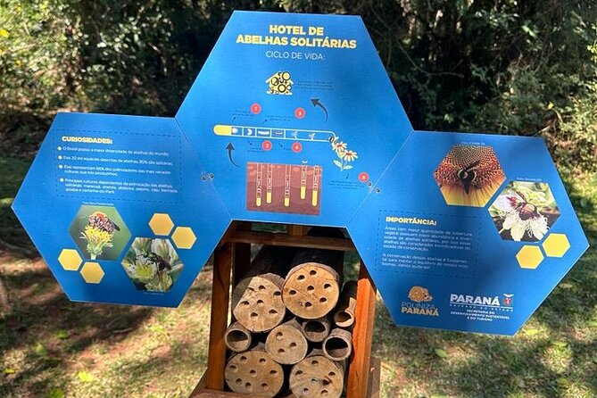Tour to the State Park of Vila Velha - Why Vila Velha is worth the trip from Curitiba