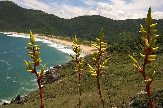 Trail through Lagoinha do Leste in Florianopolis - Lagoinha do Leste gives you time to stop