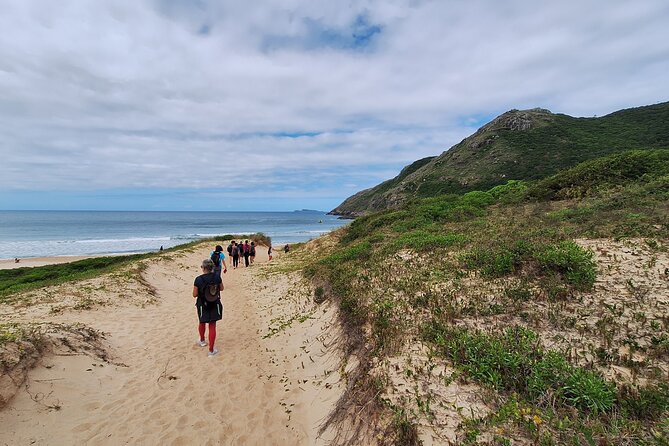 Trail to Lagoinha do Leste and Morro da Coroa - Who should book this Florianópolis hike?