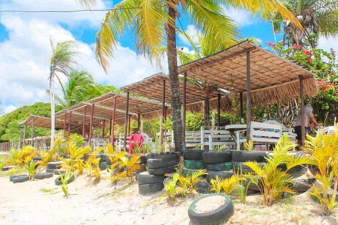Transfer and Tour in Natal's South Coast - Who should book this experience?