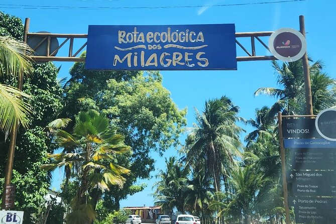 Transfer from Maceió to São Miguel dos Milagres - Why a private vehicle changes the journey