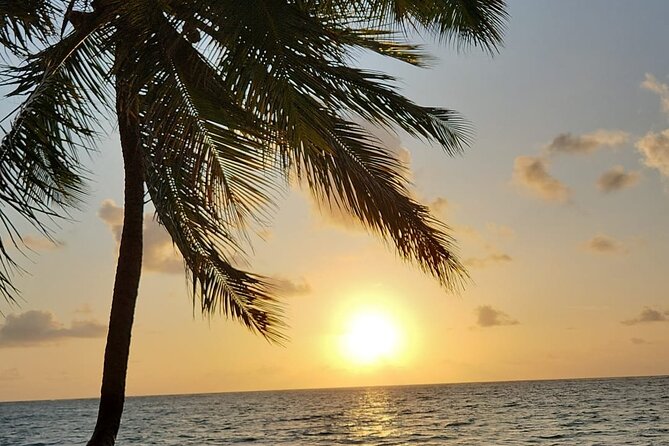 Transfer from Maceió to São Miguel dos Milagres - Farm views, beaches, and the road to Milagres