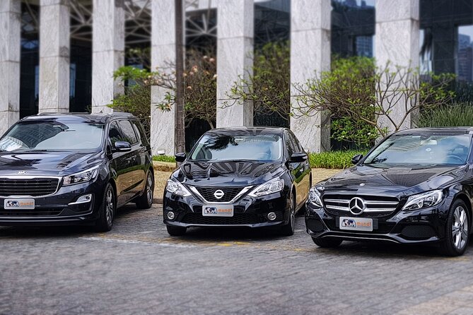 Transfer GRU airport Guarulhos <> Sao Paulo City only/CGH airport - The ride into São Paulo: clean cars and city traffic