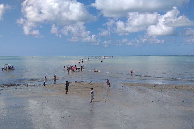 Transfer Recife Airport To Maragogi/AL 1 to 4 people - Key points at a glance