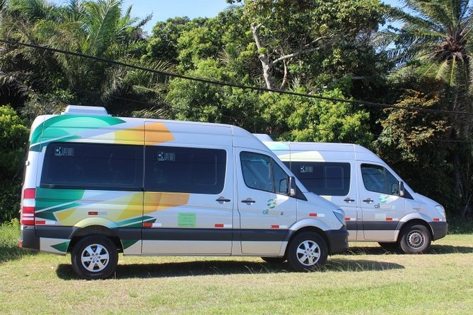 Transfer Salvador Airport / Hotel in Salvador - Key points to know before booking