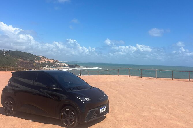 Transfers PIPA Airports in Premium Electric Cars - Flight monitoring is the most useful feature