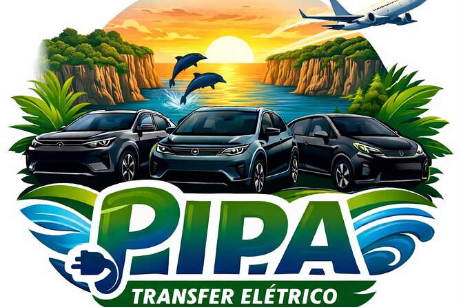 Transfers PIPA Airports in Premium Electric Cars - Who will appreciate this transfer most