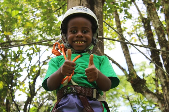 Tree climbing among the araucarias - Key points to know before you go