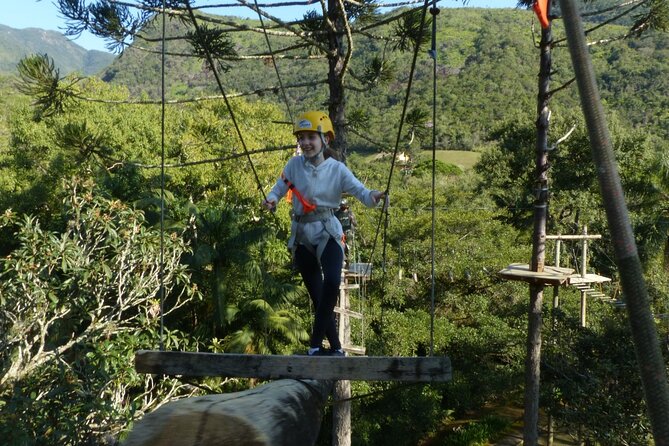 Tree climbing among the araucarias - Planning your arrival in Santo Amaro da Imperatriz