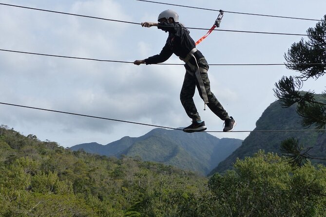 Tree climbing among the araucarias - Why families may find this a good choice