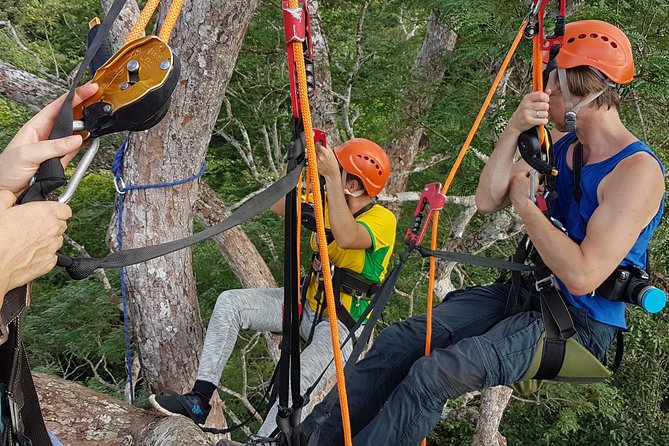 Tree Climbing in the Amazon - Key points to know before booking