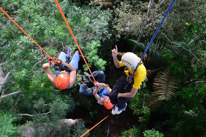 Tree Climbing in the Amazon - Who will enjoy this activity most