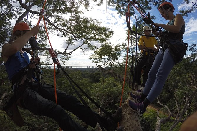 Tree Climbing in the Amazon - Weather, cancellation, and practical planning