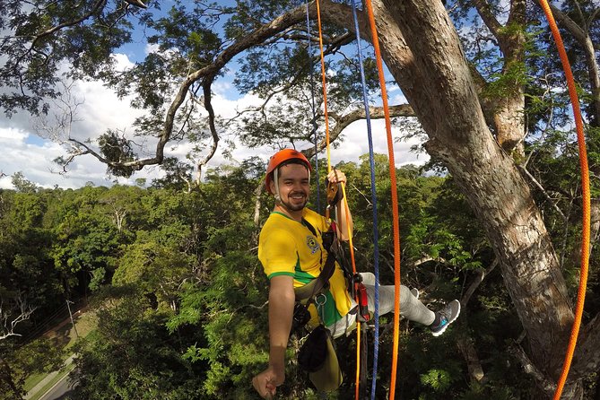 Tree Climbing in the Amazon - What the climb feels like