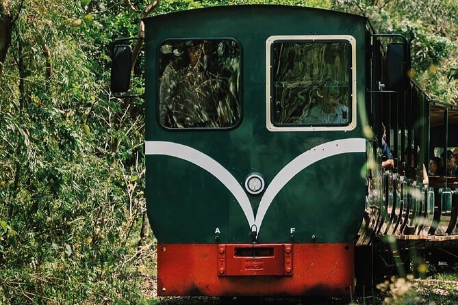 Unmissable Day Tour in Brazil, Argentina, and More! - Who will enjoy this long Iguazu day