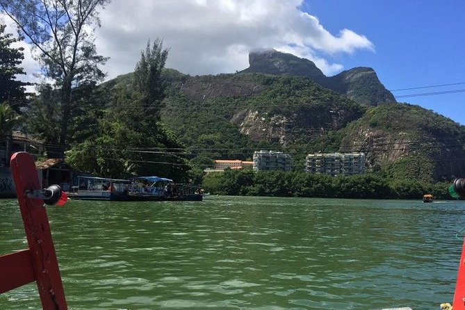 Venice in Rio Boat Trip to Gigóia Island with visit to Alligators and the Beach - Who should book this Rio lagoon tour?